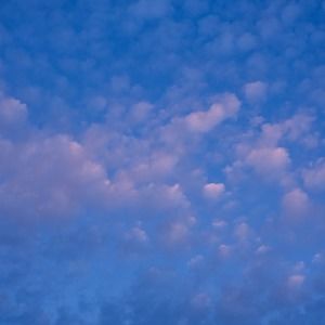 Meet your Posher, Devon